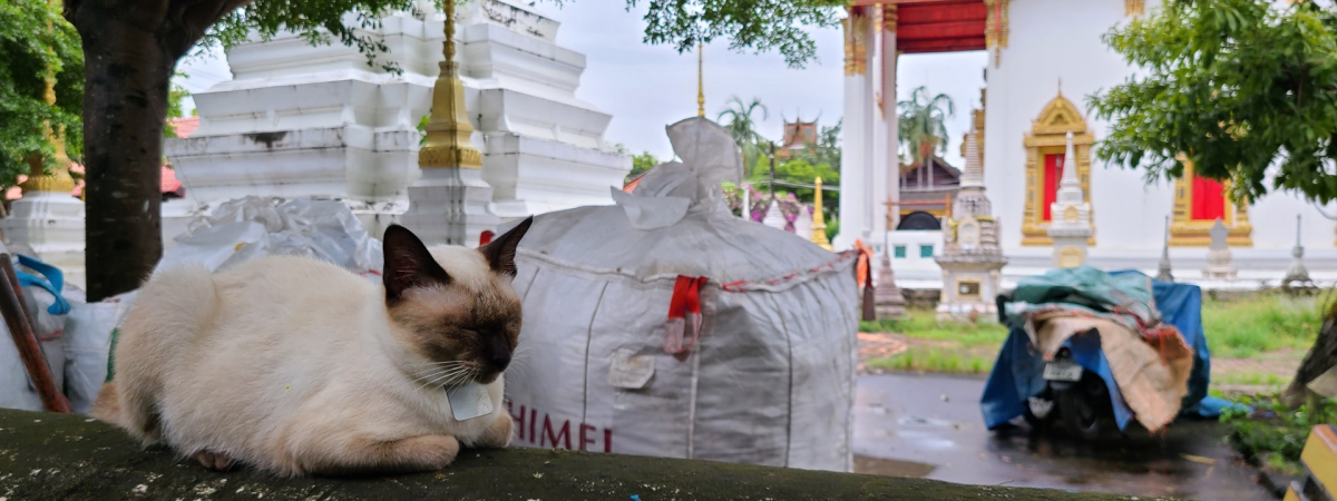 このブログについて